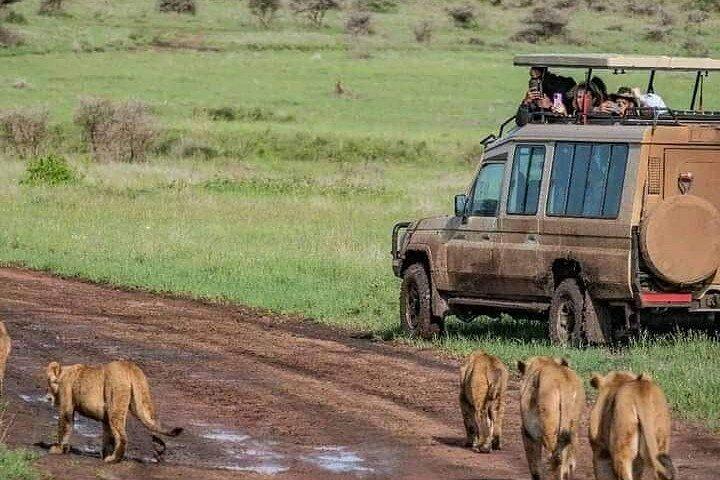 Tarangire National Park and Ngorongoro Crater 2-Day Private Tour