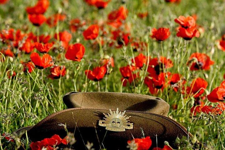 Daily Gallipoli Tour from Istanbul with lunch