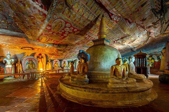 From Colombo/Negombo to Sigiriya, Dambulla Day Trip & Safari