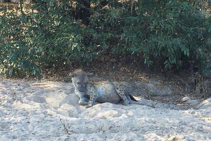 3 Days Selous (Nyerere National Park) Safari from Zanzibar & Back