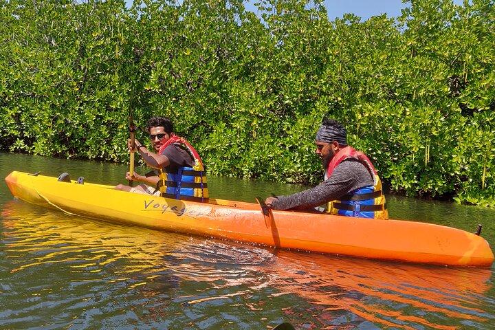 Mangroves Kayaking At Havelock