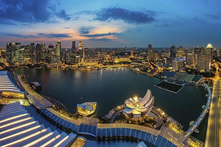 Private Tour:Singapore National Museum and Singapore Flyer and Ducktour