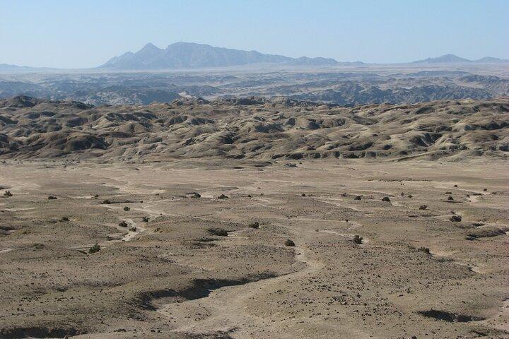 Full-Day Tour in Namib Desert from Swakopmund, Namibia