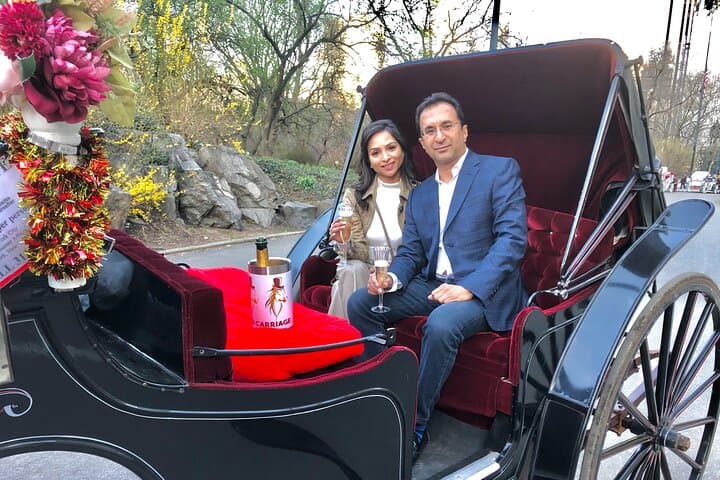 VIP Central Park Champagne Tour with Photos(50 min)~Skip the line