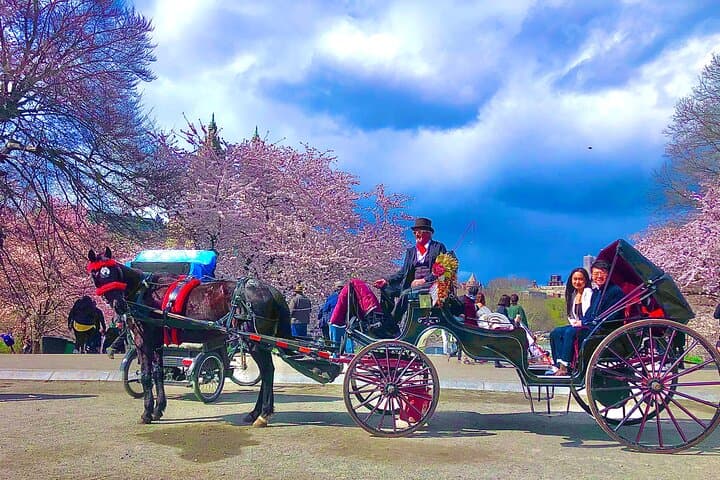 VIP Central Park Champagne Tour with Photos(50 min)~Skip the line