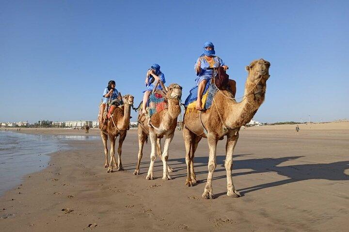 Essaouira: 2H camel/pick up and drop off including