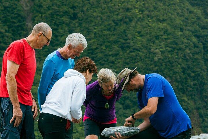 Fox Glacier Nature Tour