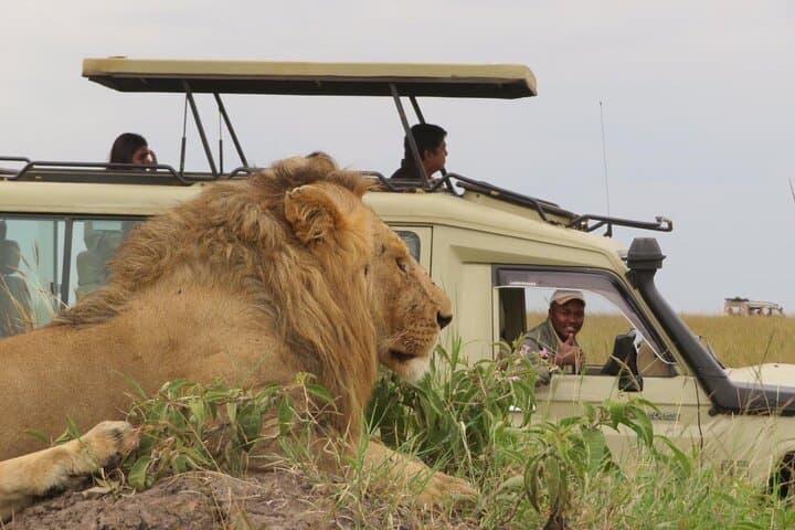 3-Day Private Masai Mara Safari