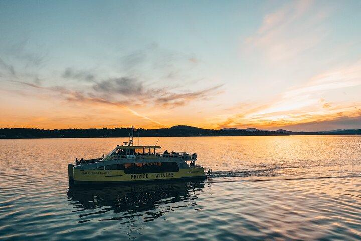 Vancouver Sunset Whale Watching Adventure with Free Photos
