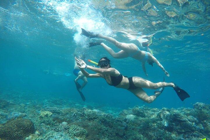 Manta Bay and Diamond Beach Private Snorkeling Tour with Lunch