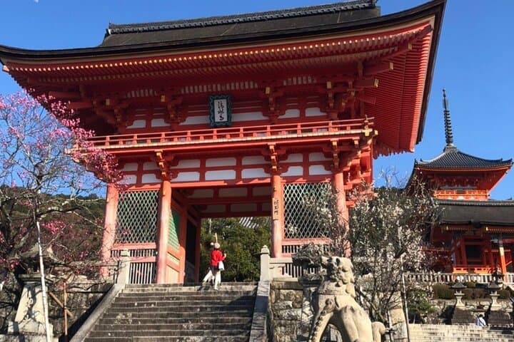 Kyoto 6h Private Tour Fushimi Inari, Kiyomizu, Gion & Hidden Gems