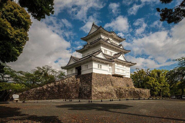 Odawara Castle and Town Guided Discovery Tour