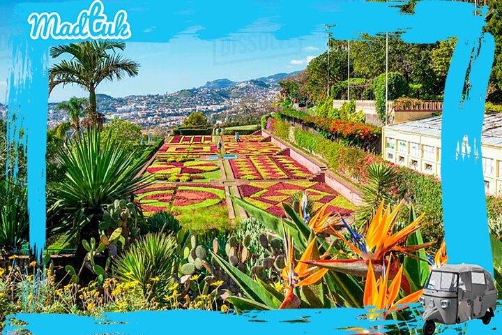 Madeira Botanical Gardens and Old Town Tuk Tuk Tour by MadTuk