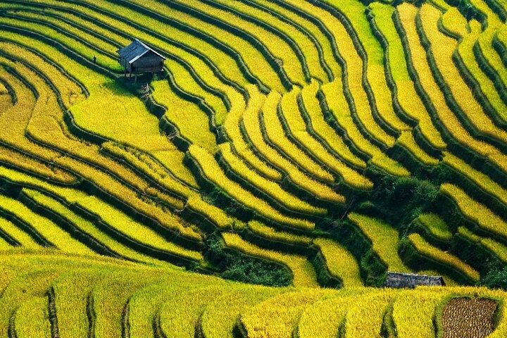 2 Days 1 Night Stay Sapa Trekking Tours