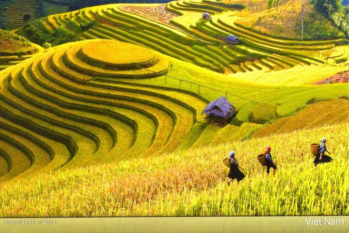 2 Days 1 Night Stay Sapa Trekking Tours