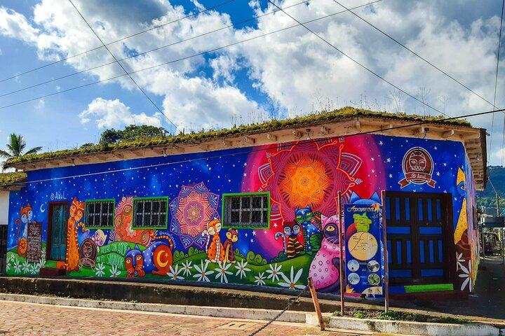 Ruta de Las Flores Adventure, Hotsprings, 1930's Coffee Farm Tour