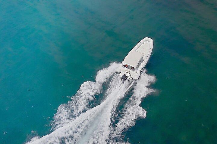 Morning or Afternoon 3hour Private boat cruise tour in Santorini