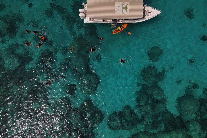 Snorkeling at Dimaniyat Islands