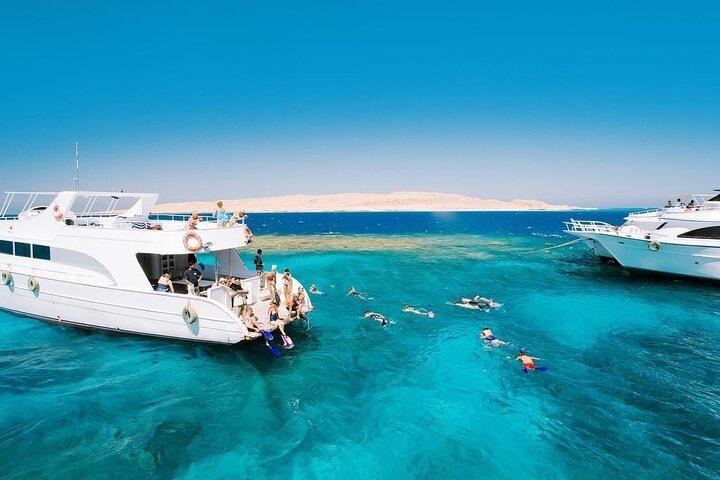 Hurghada: Dolphin House Satayeh Reef Snorkeling Red Sea Trip