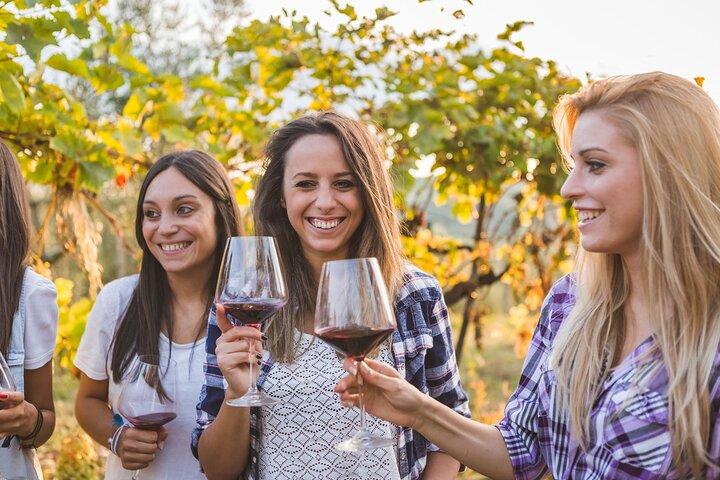 Barolo & Langhe Wine Tasting Tour from Turin