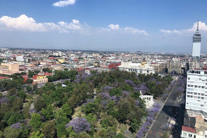 Mexico City Center Private Walking Tour