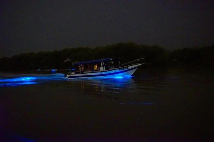 Amazing Fireflies With Blue Tears Watching & Kuala Selangor Tour