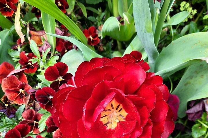 Private Giverny Trip and Entrance Ticket from Paris
