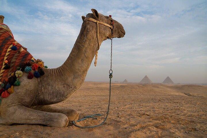 Full Day Tour to Giza Pyramids, Sphinx, Egyptian Museum, Khan el-Khalili Bazaar