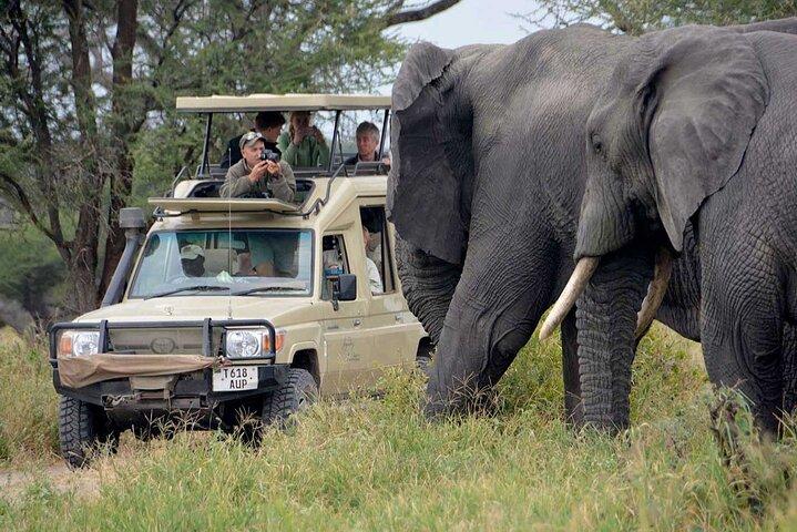 An Exclusive Tarangire Safari