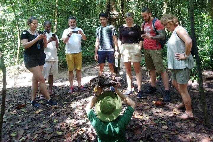 Cu Chi-Ben Duoc Tunnels & War Remnants Museum – Small Group