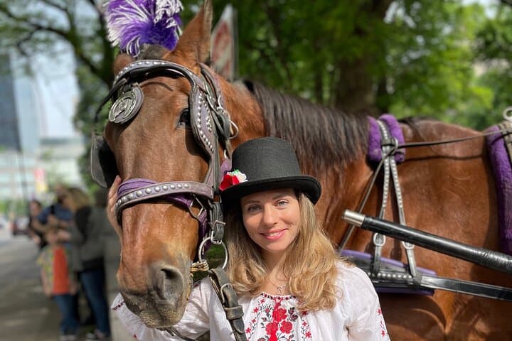 Carriage Ride in Central Park (VIP - PRIVATE) Since 1964™