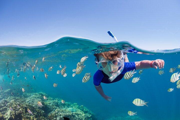 Oahu 5-in-1 Deluxe Cruise: Turtle Snorkeling & Ocean Activities