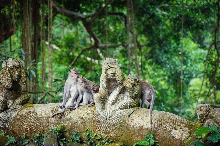 Full Day Private Guided Tour to Bali