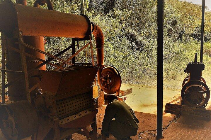 Day Tour Giraffe Center, Karen blixen and Lunch at Carnivore
