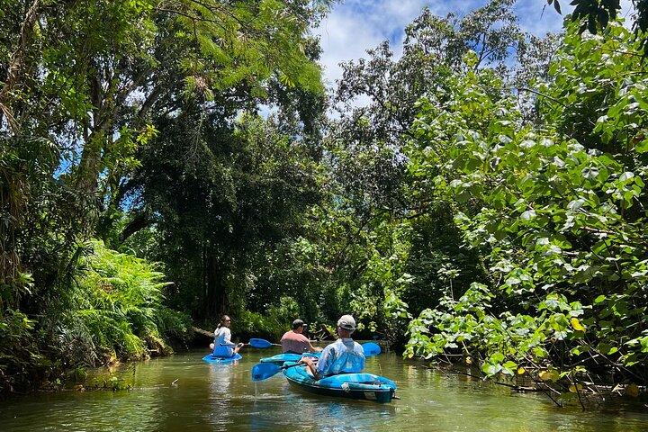Kahana Bay River to Ocean: Kayak and Stand Up Paddle Board Rental