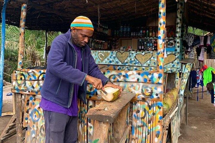 2-Day Private Tour to Moshi