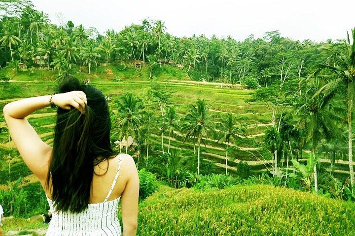 Best of Ubud Private Tour with Jungle Swing Experience