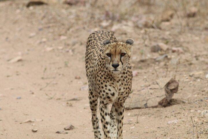 Private Tanzania Safari & Active Culture Tour
