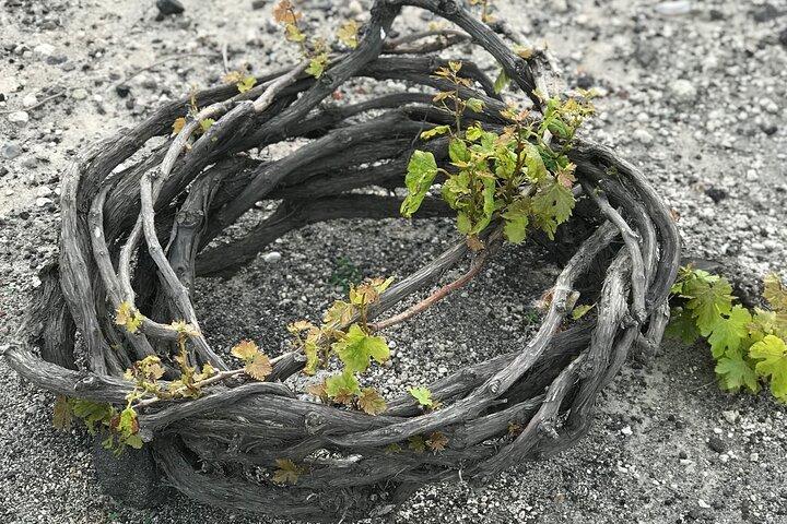 Santorini wine tasting and Traditional Cave Settlement Tour