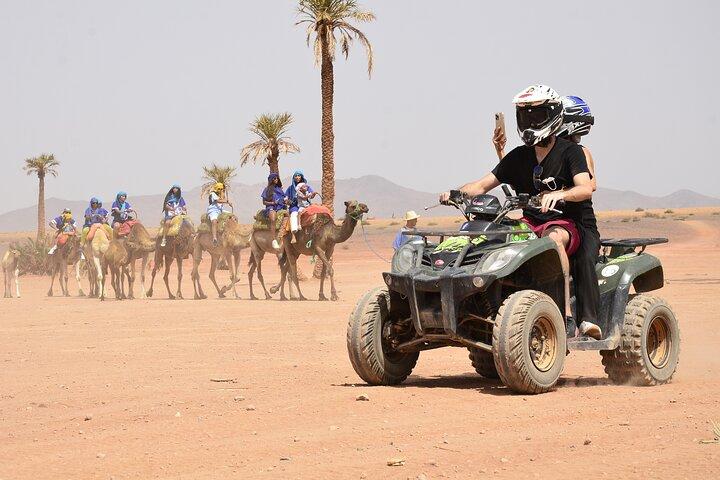 Live an unforgettable adventure, quad ride in the palm grove