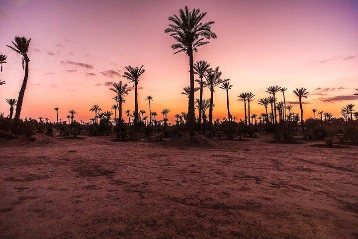 Live an unforgettable adventure, quad ride in the palm grove