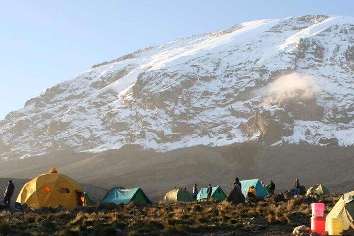 7 days climb Kilimanjaro Machame route