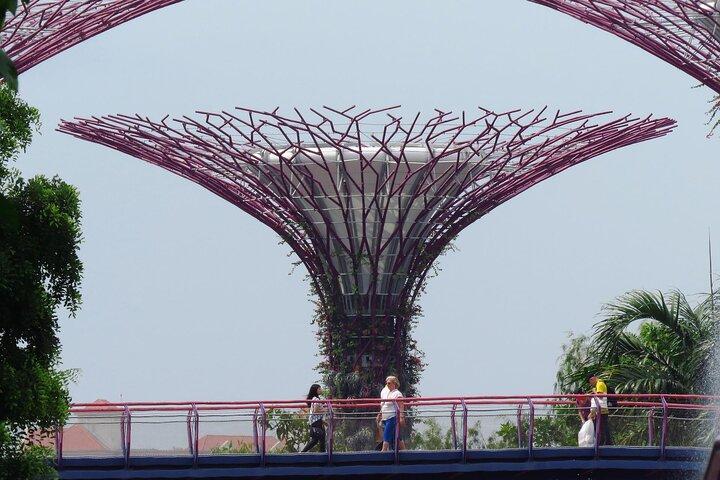Gardens by the Bay Entry Ticket