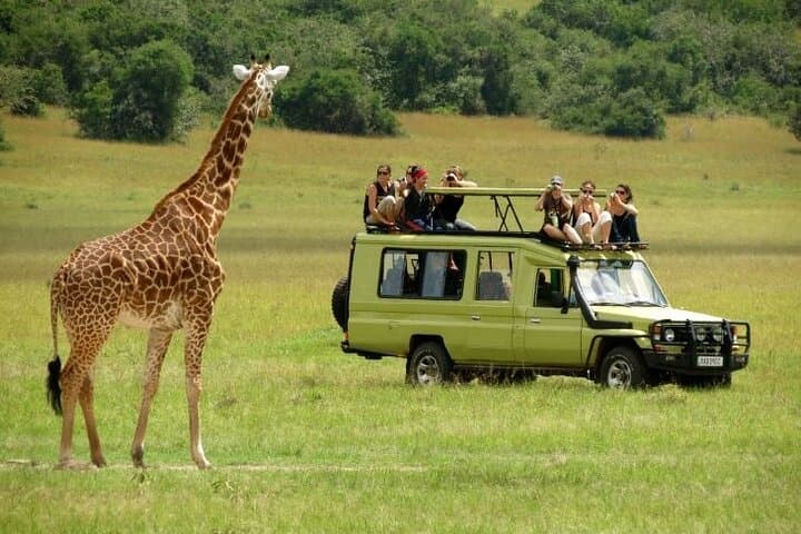 3-Day Group Safari Tour to Masai Mara from Nairobi.