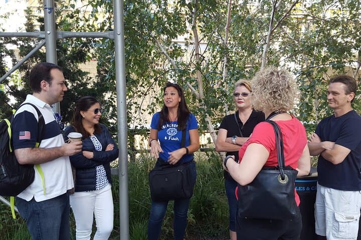 Explore the High Line: Small Group Walking Tour