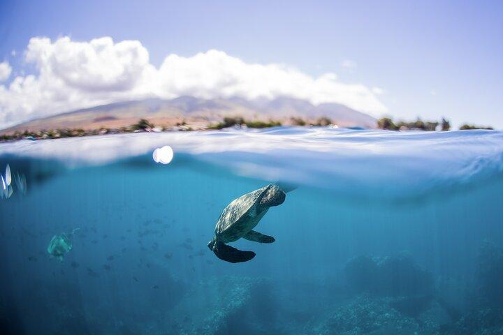 Maui: Turtle Reef Morning Snorkel Cruise with Lunch & Slide