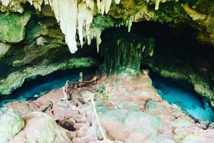 Kuza Cave Tour; Blue Lagoon Snorkeling; Starfish Adventure; The Rock; Paje Beach
