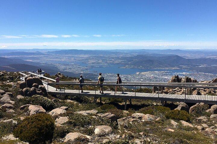 Easy Bike Tour - Mt Wellington Summit Descent & Rainforest Ride