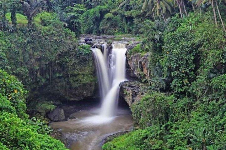 Best of Ubud Private Tour with Jungle Swing Experience