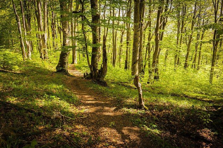 Plitvice Lakes Tour from Split with Entrance Ticket included